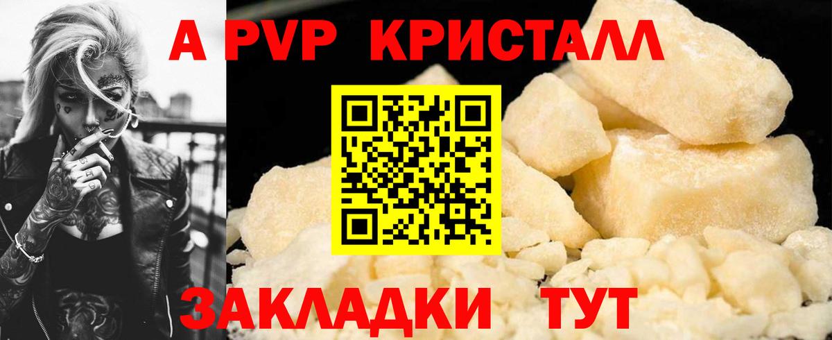 Альфа ПВП СК Сосновый Бор