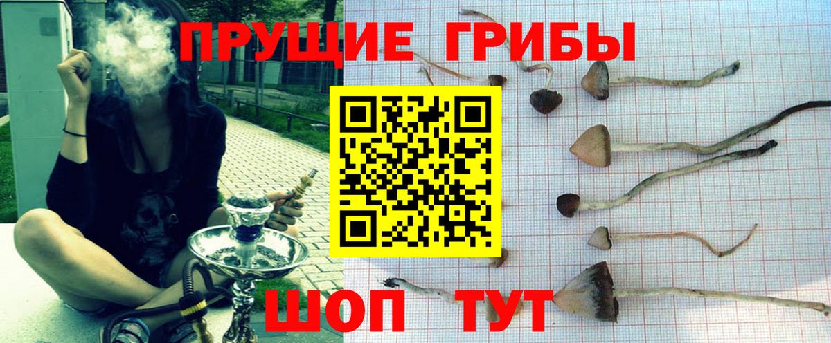 Псилоцибиновые грибы мухоморы  Псилоцибиновые грибы прущие грибы  Вход с VPN  Сосновый Бор 